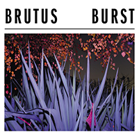 Brutus (BEL)