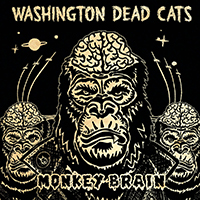 Washington Dead Cats