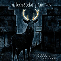 Pattern-Seeking Animals