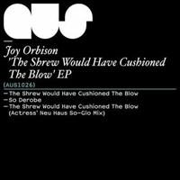 Joy Orbison