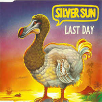 Silver Sun