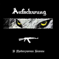 Aufschwung