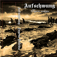 Aufschwung