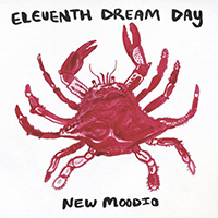 Eleventh Dream Day