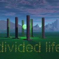 A Life [DivideD]