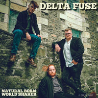 Delta Fuse