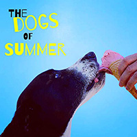 Dogs Of Summer