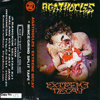 Agathocles