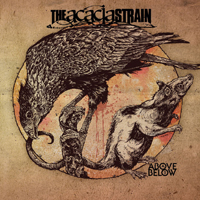 Acacia Strain