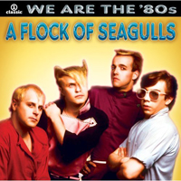 Flock Of Seagulls