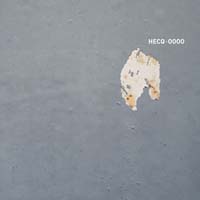 HecQ