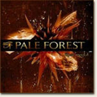 Pale Forest