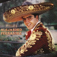 Alejandro Fernandez