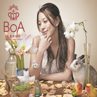 BoA (KOR)