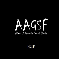 AAGSF