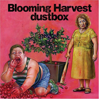 Dustbox