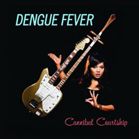 Dengue Fever