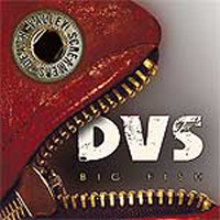 DVS