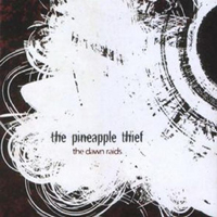 Pineapple Thief