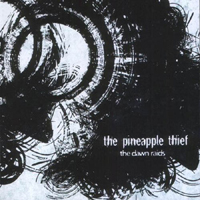 Pineapple Thief