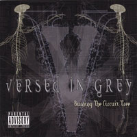 Versed In Grey