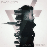 David Cook