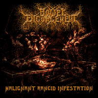 Bowel Engorgement