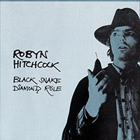 Robyn Hitchcock & The Venus 3