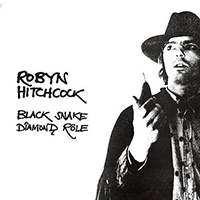 Robyn Hitchcock & The Venus 3