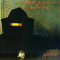 Robyn Hitchcock & The Venus 3