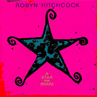 Robyn Hitchcock & The Venus 3