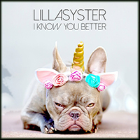 Lillasyster