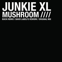 Junkie XL