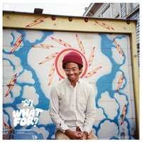 Toro y Moi