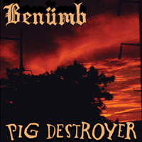 Pig Destroyer