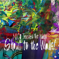 Nico Touches the Walls