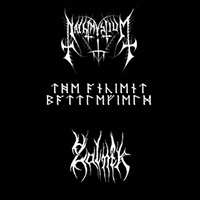 Nachtmystium