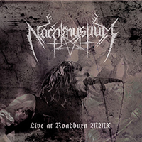 Nachtmystium