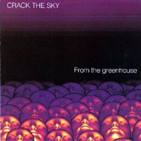 Crack The Sky