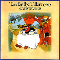 Cat Stevens