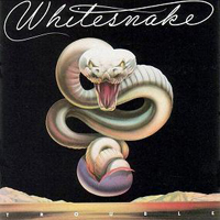 Whitesnake