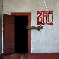 ZAO