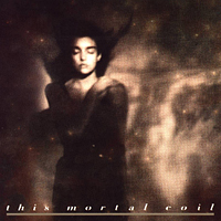 This Mortal Coil