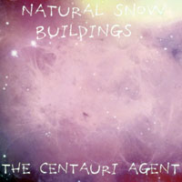 Natural Snow Buildings