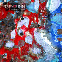 Trey Gunn