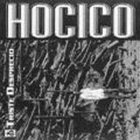 Hocico