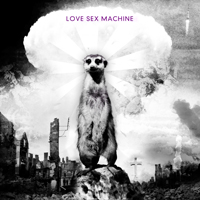 Love Sex Machine