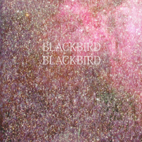 Blackbird Blackbird