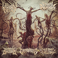 Visceral Decay