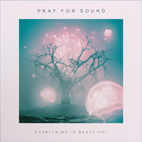 Pray For Sound